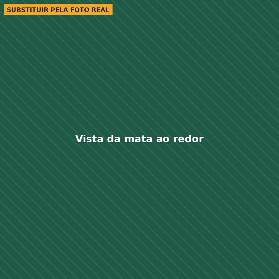 Vista da mata ao redor do Balneário do Munhoz em Bom Jesus das Selvas